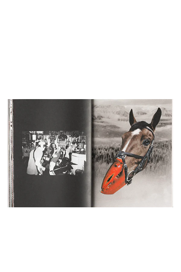 Codalunga - immagine 6