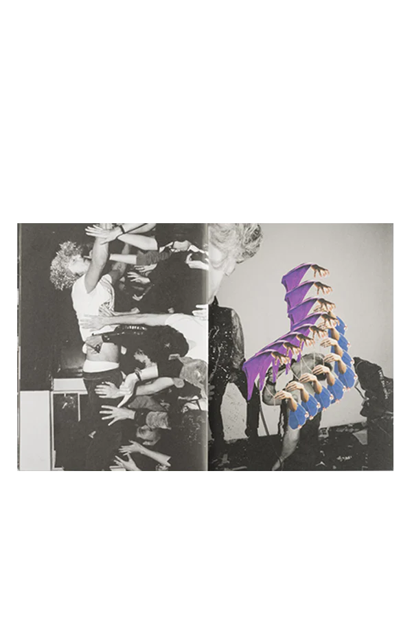 Codalunga - immagine 7