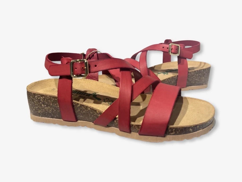 BioNatura Goicor - immagine 3