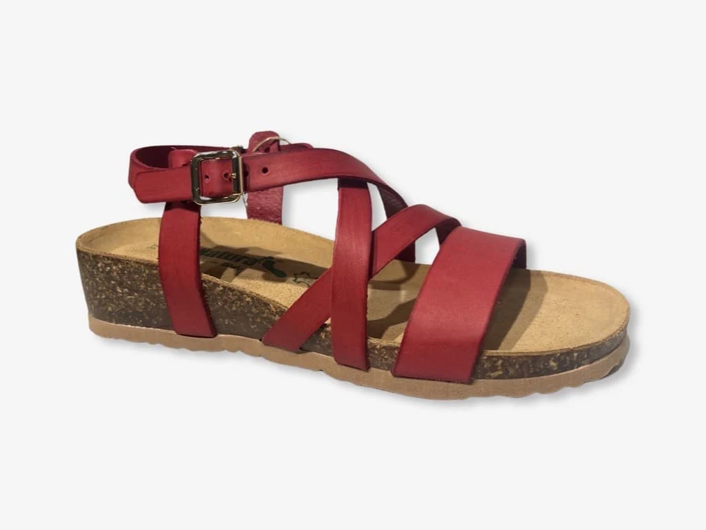 BioNatura Goicor - immagine 2