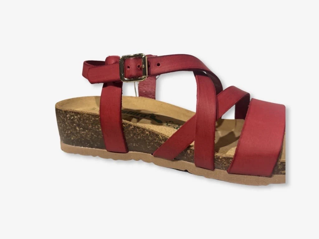 BioNatura Goicor - immagine 5