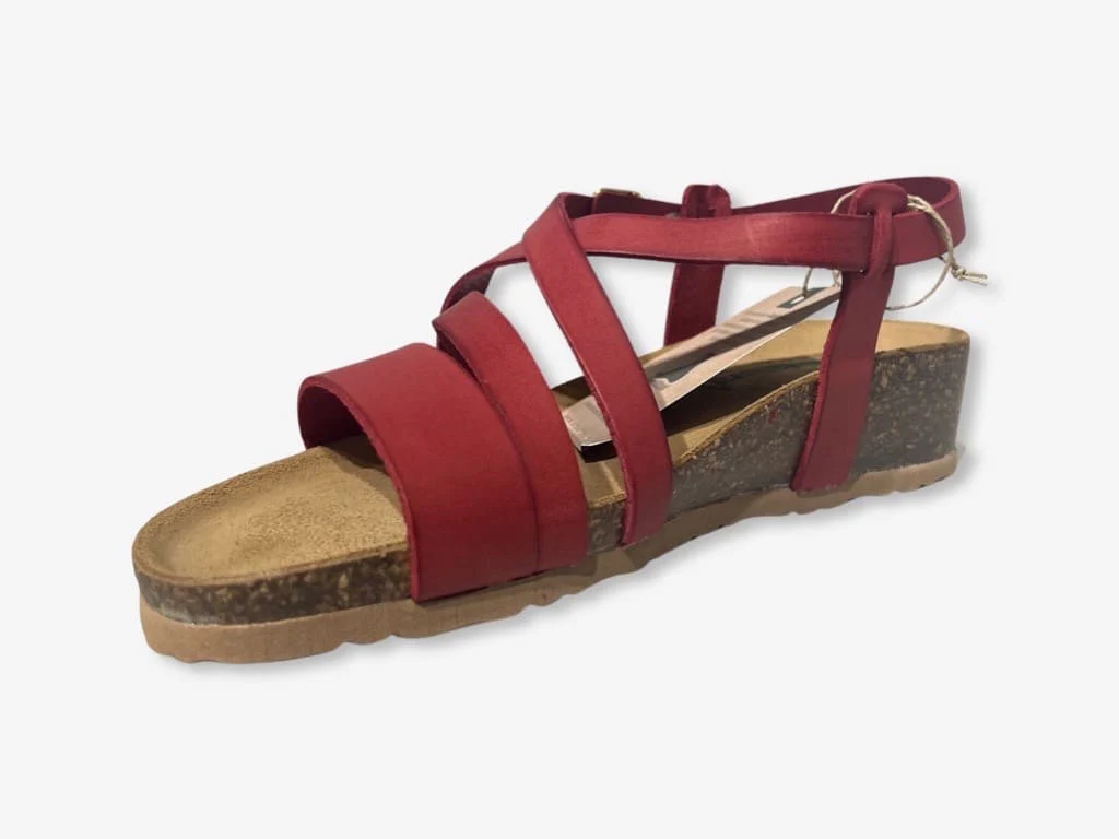 BioNatura Goicor - immagine 6