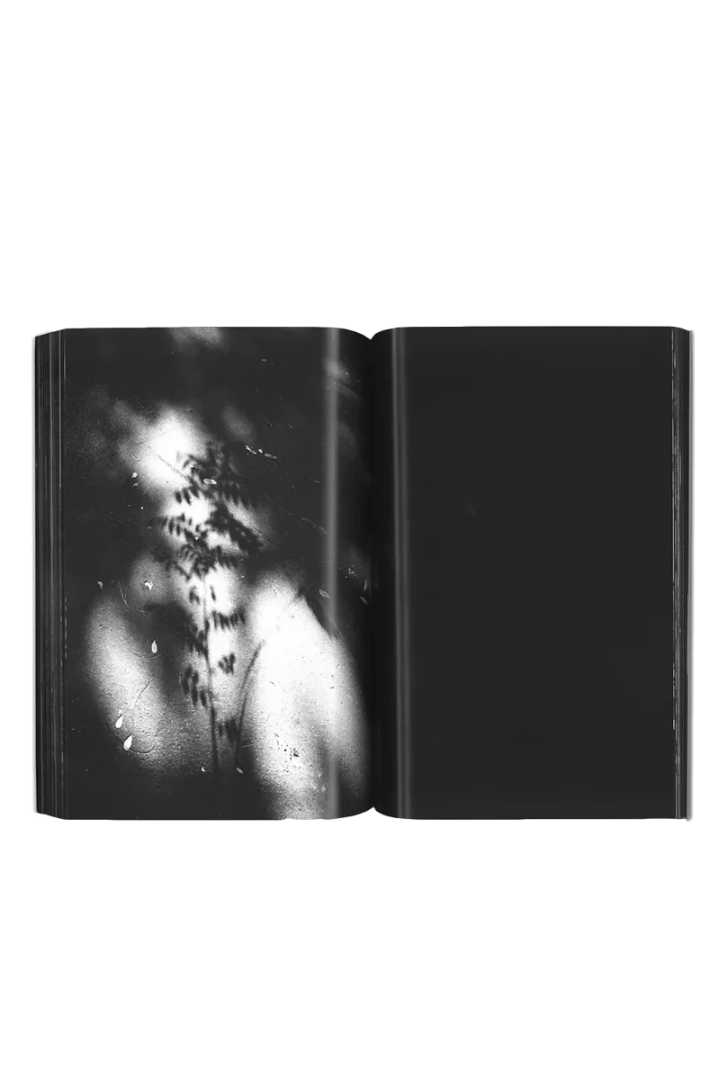 Crucifixion on Calculaincourt - immagine 7