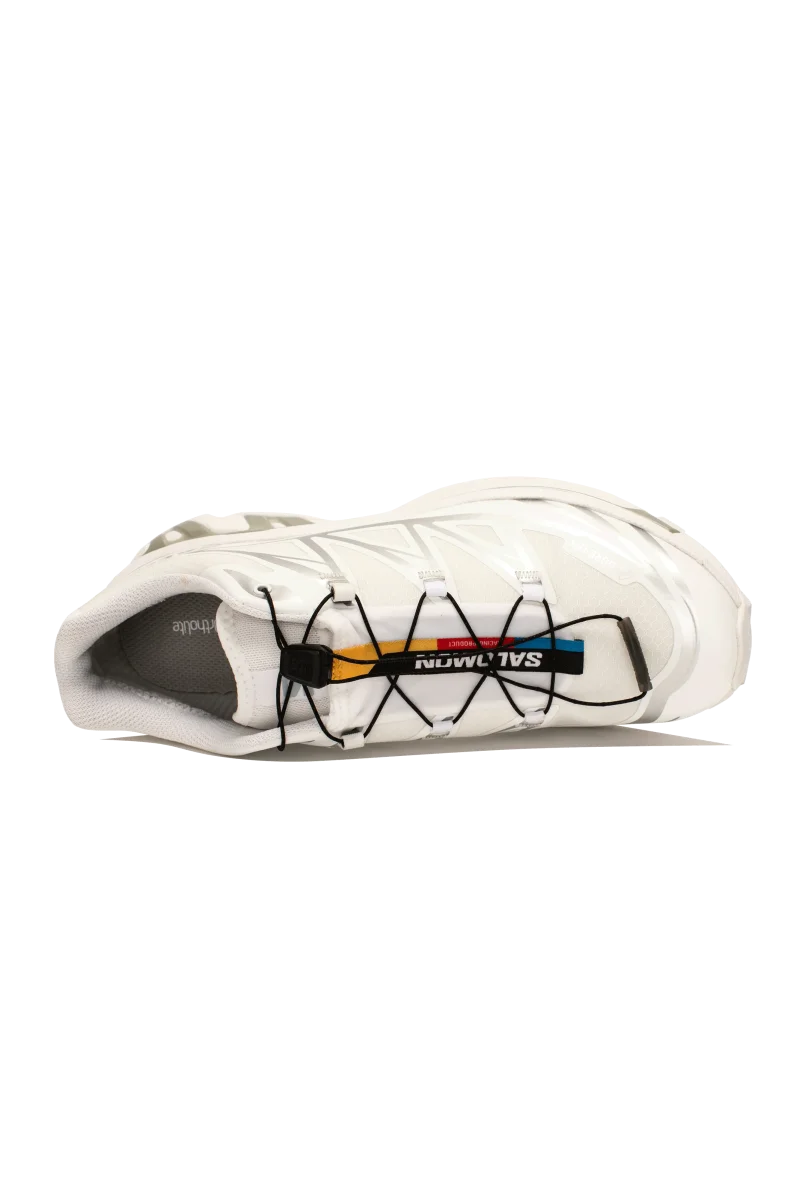 XT-6 GTX - immagine 4